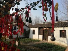 -溱湖国家湿地公园