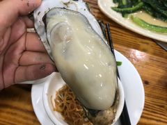 -大富蚝乌东哥饭店·石锅鱼杂·柠檬鸭(革新路店)