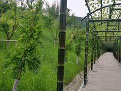 -兰亭风景区