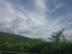 -Bamboo Saturday Market(Nana Jungle)