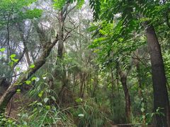 -草庵摩尼教遗址公园