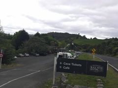 -怀托摩萤火虫洞