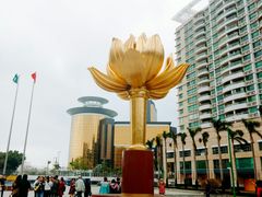 -金莲花广场
