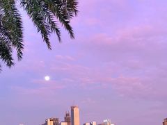 -海心沙亚运公园