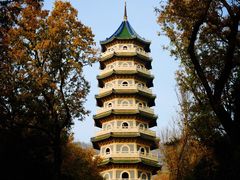 -灵谷景区