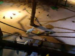 -酷嗒动物文化乐园(cutezoo西溪乐天城店)