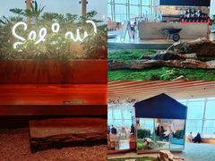 -Seesaw Coffee(朝阳大悦城店)