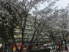 -黄桷坪涂鸦艺术街