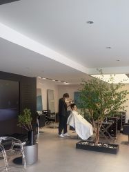 点击看大图 -付军剪艺JF ProSalon