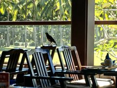 -亚龙湾红树林度假酒店-韩轩韩餐厅
