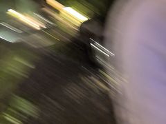 -普陀山雷迪森庄园