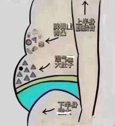 -香薇妮丝女子减肥院