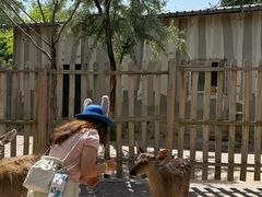 -水上乐园·欢乐世界