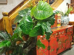 -七菜馆·东北菜·蒸饺(文体路店)