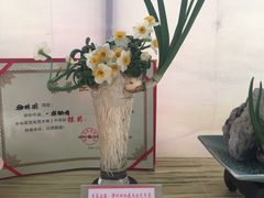 -龙大花卉苗木市场