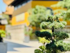 -圆通寺