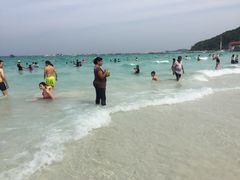 -月光岛