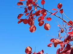 -北京西山国家森林公园