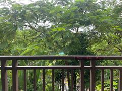 -西双版纳融创皇冠假日度假酒店