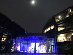 室内游泳池-上海滴水湖皇冠假日酒店