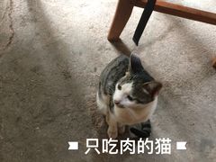 -傣泐金湾餐厅