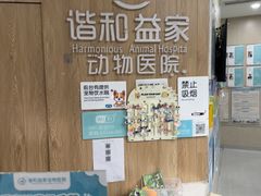 -谐和益家动物医院·免疫绝育·血液透析·宠保定点医院(高新伊藤分院)