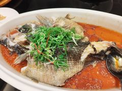 -新雅粤菜馆(南京东路店)