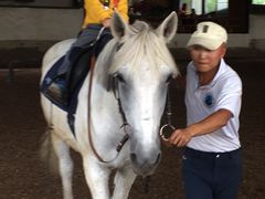 -月河湾马术俱乐部(朝阳店)