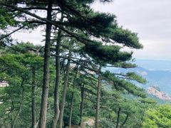 -天柱山风景区