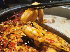 -销魂美蛙鱼头火锅(上海首店)