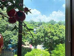 景观位-点都德(广州白云山景区南门店)