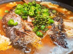 -探鱼·鲜青椒爽麻烤鱼(苏宁广场店)