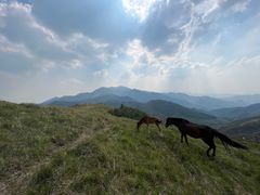 -灵山