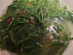 -张家卫·阳江菜·小海鲜(肥婆湾桥店)