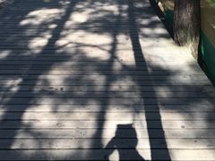 -帽儿山国家森林公园