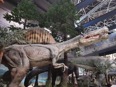 -湖南省地质博物馆