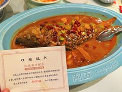 煎烧黄河鲤鱼-阿五黄河大鲤鱼(英协路店)
