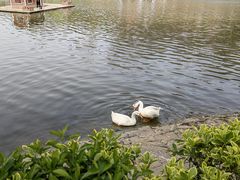-北岭山森林公园