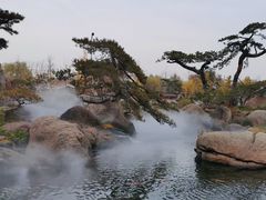 -罗红摄影艺术馆