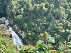-海南热带雨林国家公园吊罗山景区