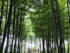 -径山寺