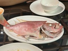 -吴记富苑(朝阳店)