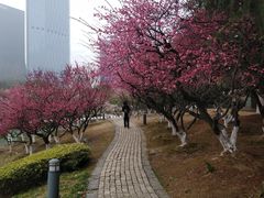 -白塘生态植物园