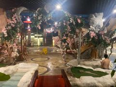 -中铁花水湾温泉酒店(大邑店)