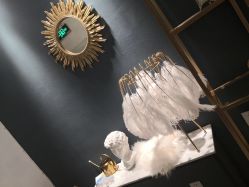 -雪儿·YuKi美甲美睫皮肤管理Salon