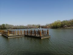 -塘沽森林公园