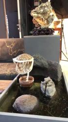 -周忆刺青原创设计定制