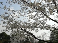 -杭州城北体育公园