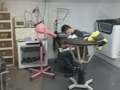 -艾贝尔宠物医院 ·中兽医·宠保定点(北门桥店)