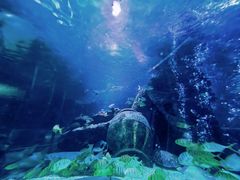 -太平洋海底世界